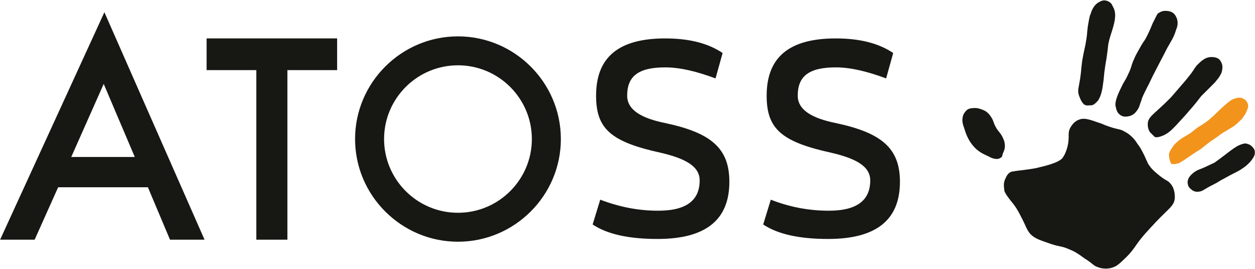 https://www.mncjobs.ch/company/atoss-software