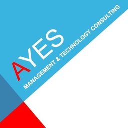 https://www.mncjobs.ch/company/ayes-consulting