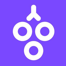https://www.mncjobs.ch/company/grape-insurance