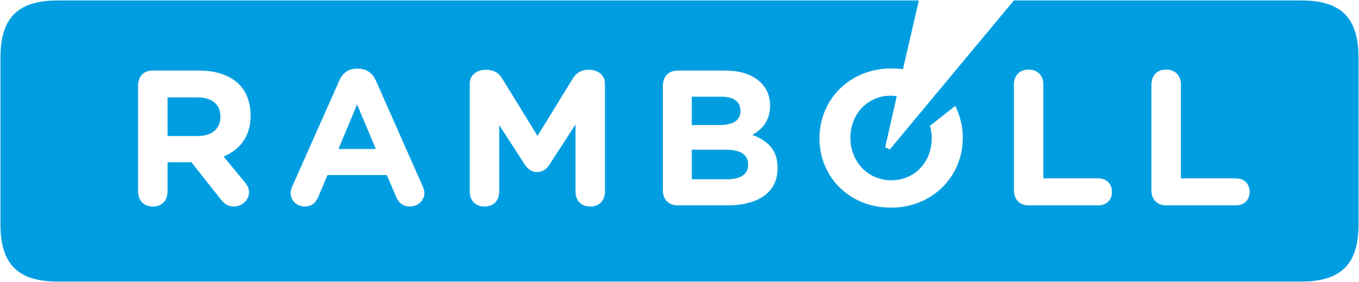 https://www.mncjobs.ch/company/ramboll