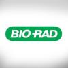 https://www.mncjobs.ch/company/bio-rad-laboratories-inc